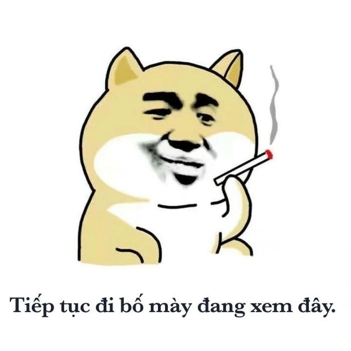 Meme cười đểu chó thách thức