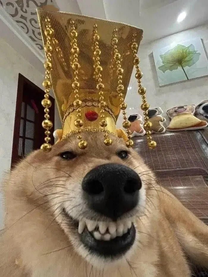 Meme cười đểu đội ngai vàng