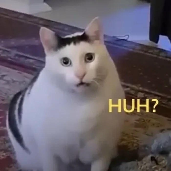 Meme khó hiểu mèo huh