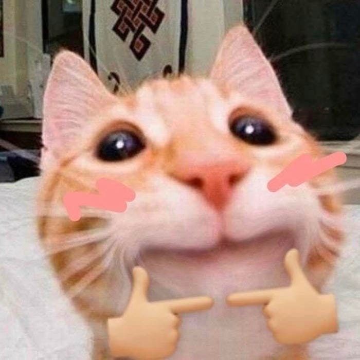 Ngại meme mèo ngại ngùng