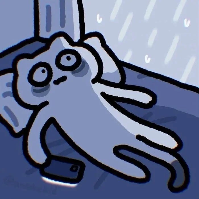 ảnh avatar buồn mèo con