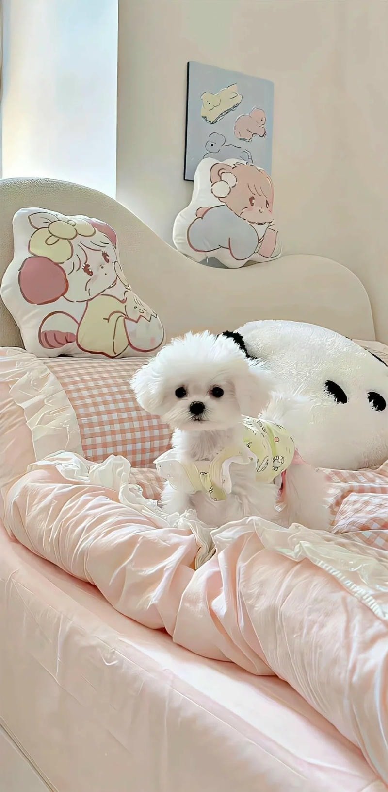 ảnh chó cute dễ thương