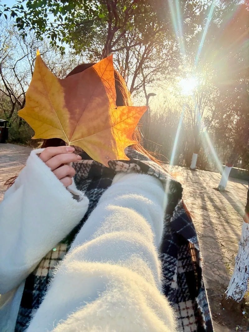 ảnh gái xinh cầm lá che mặt