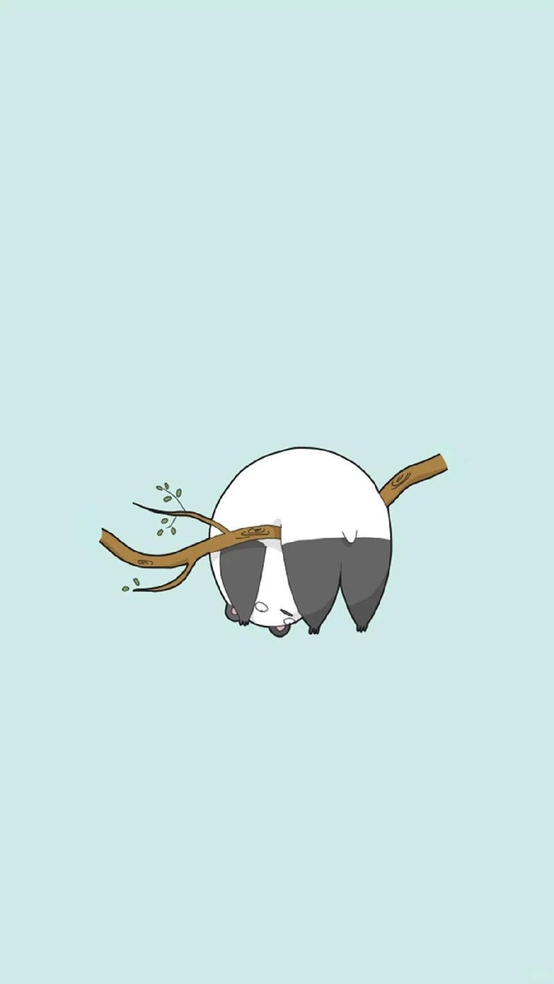 ảnh gấu trúc đen trắng