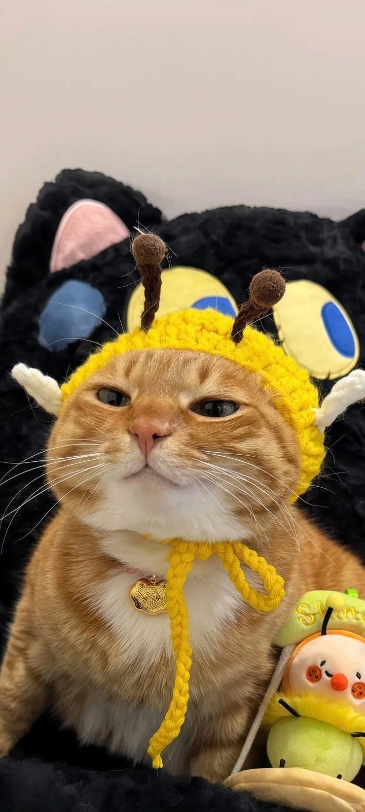 ảnh mèo meme nổi tiếng