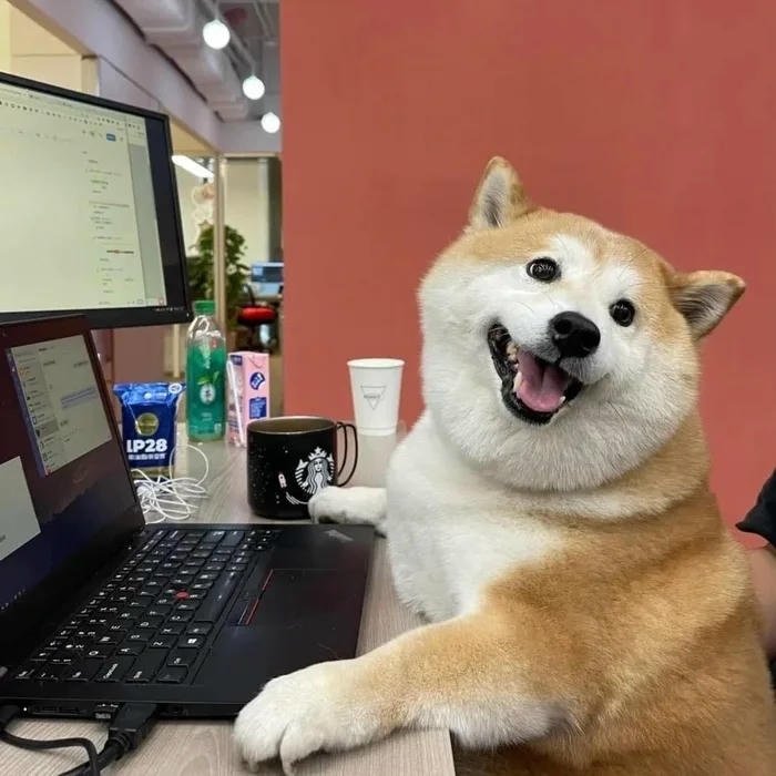 avatar chó cute làm việc
