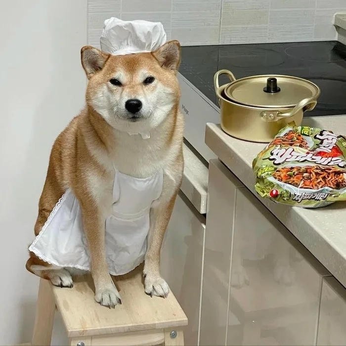 avatar chó cute nấu ăn