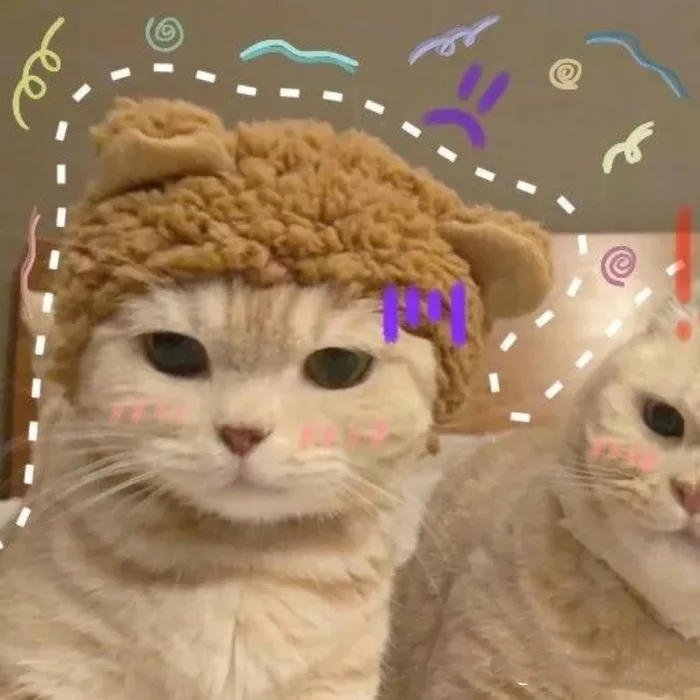 avatar đôi cute mèo dễ thương nam