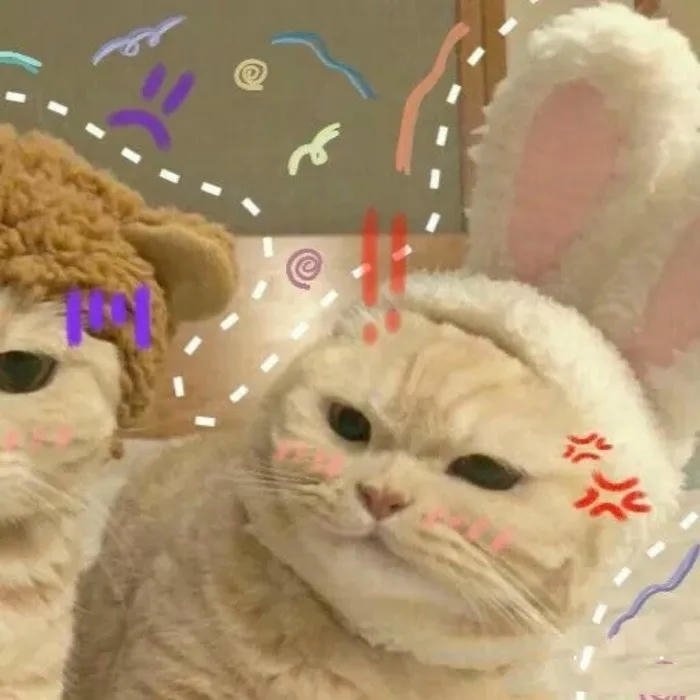 avatar đôi cute mèo dễ thương nữ