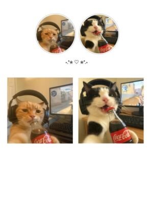avatar đôi cute mèo uống coca