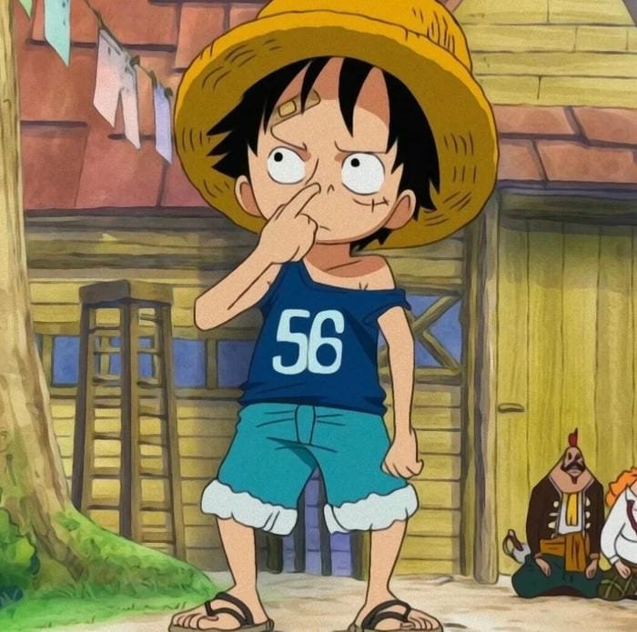 avatar luffy anime