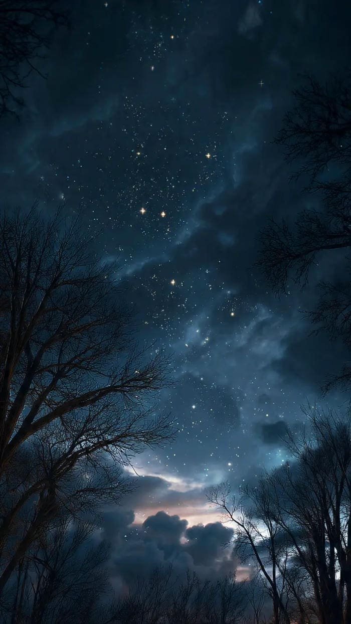 hình ảnh bầu trời đêm trăng sao rừng cây