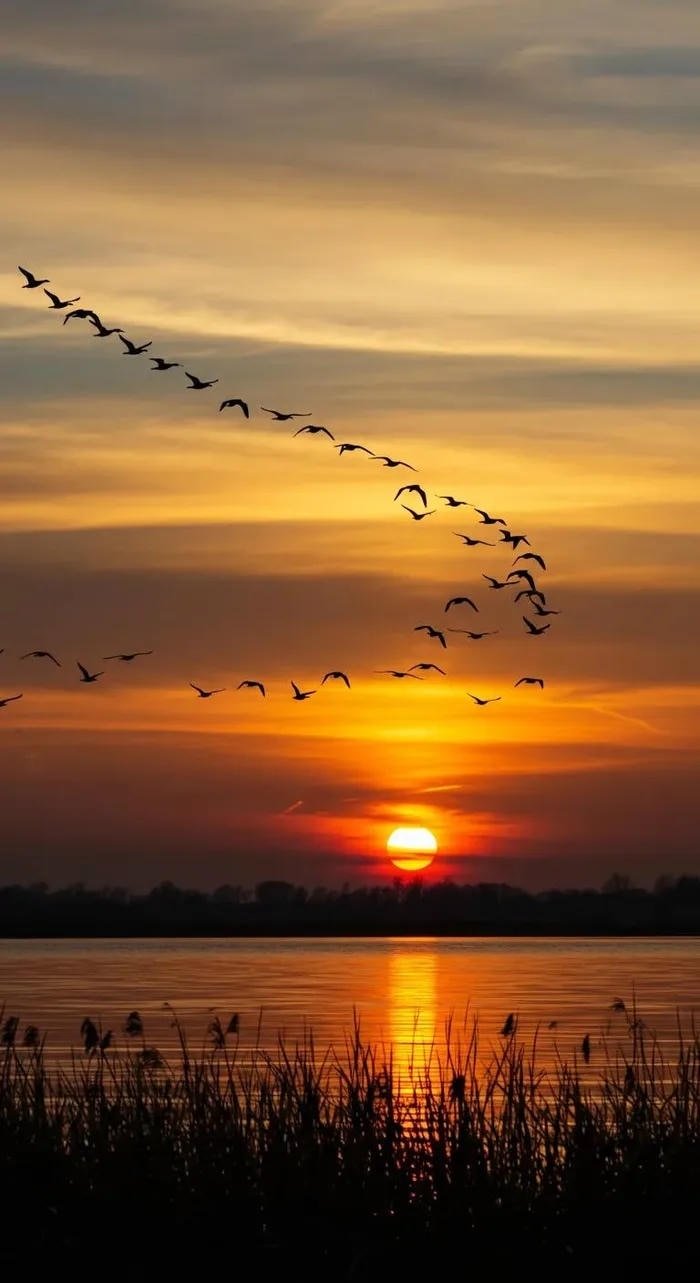 hình ảnh bầu trời hoàng hôn buồn