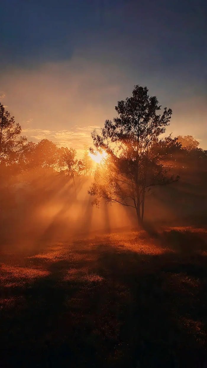 ảnh tia nắng mặt trời mọc đẹp nhất đẹp