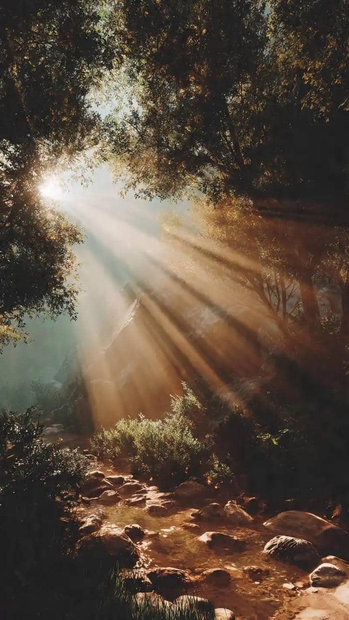 hình ánh nắng rất chan hòa