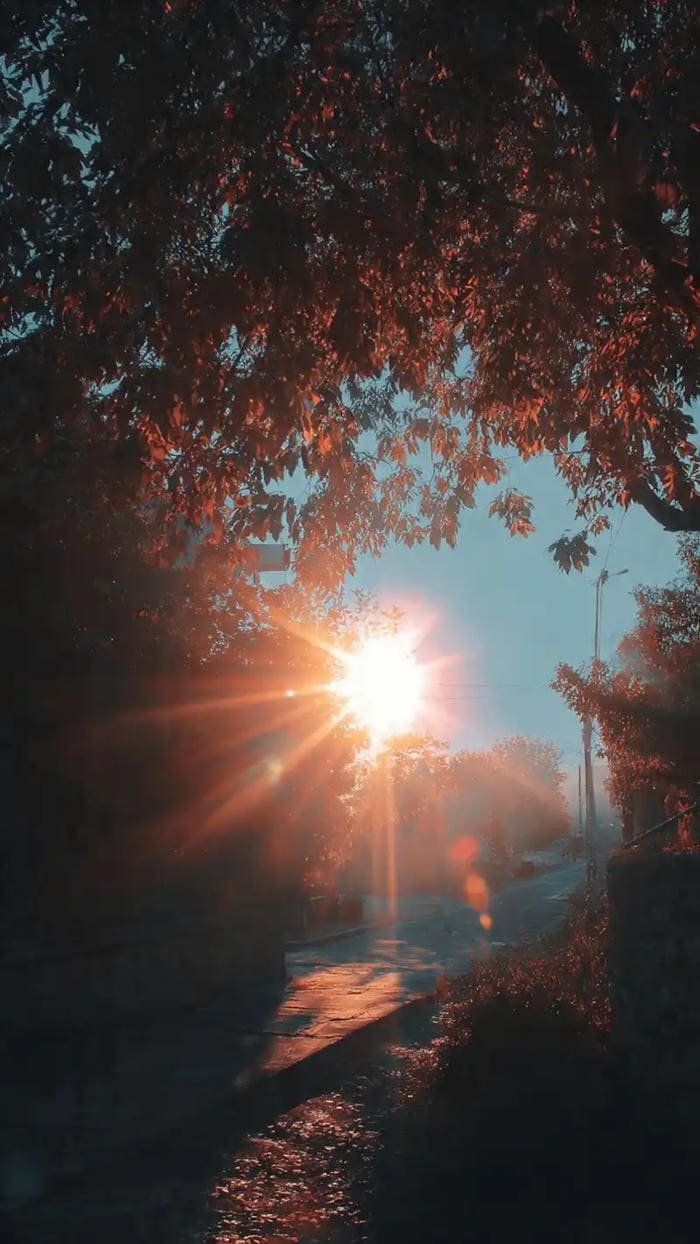 ảnh nền trời nắng tông màu ấm áp