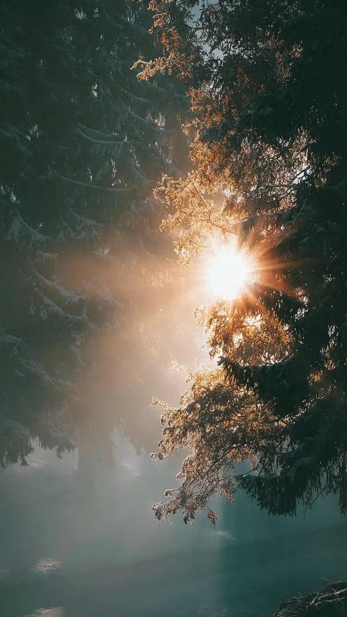 hình ảnh trời nắng gắt