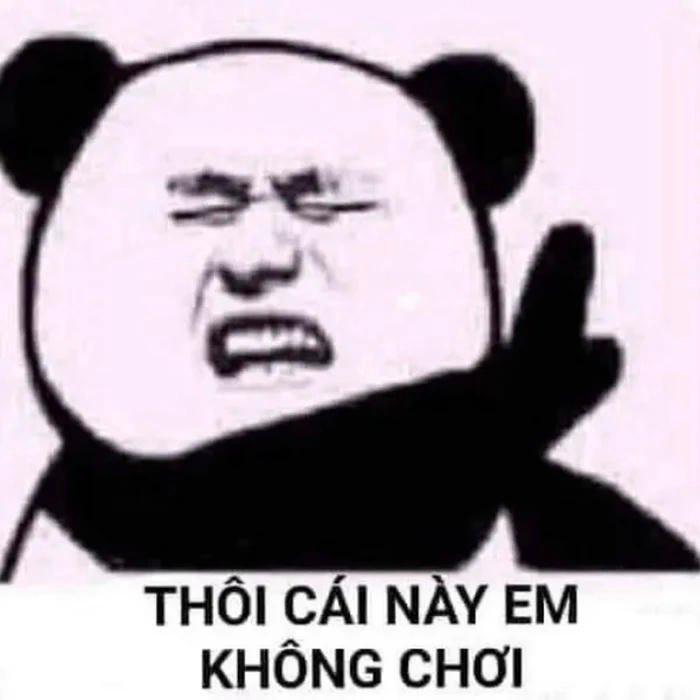 meme gấu trúc chê