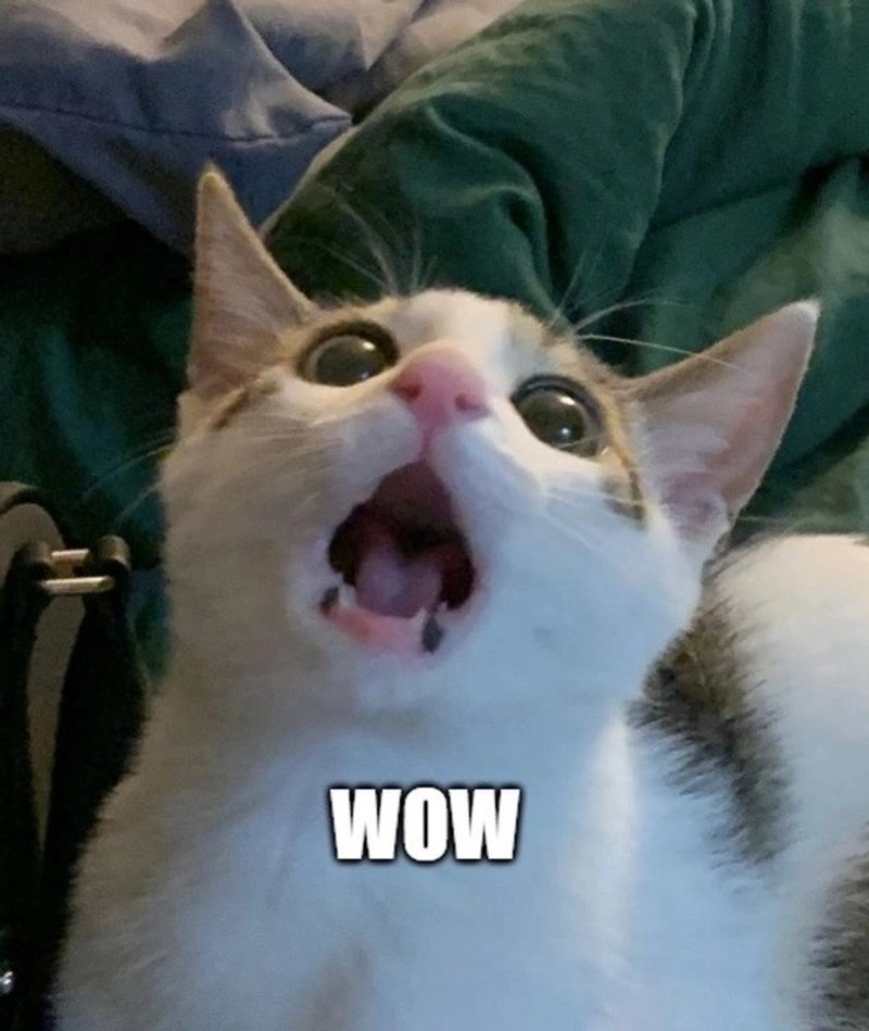 meme wow dễ thương