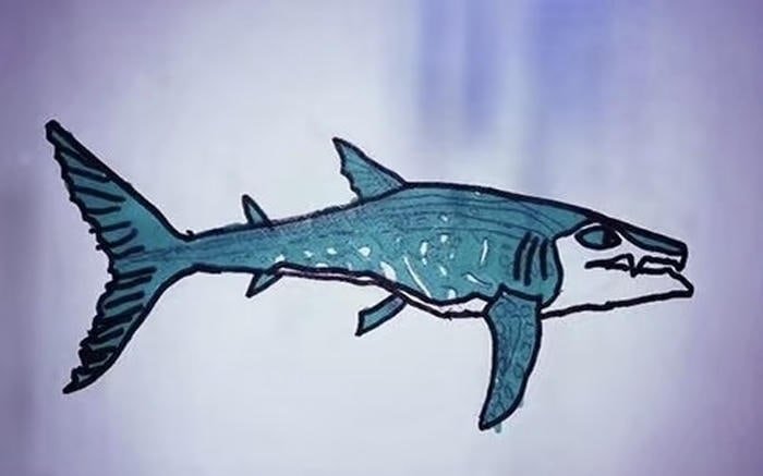 Ảnh cá mập anime mini cute