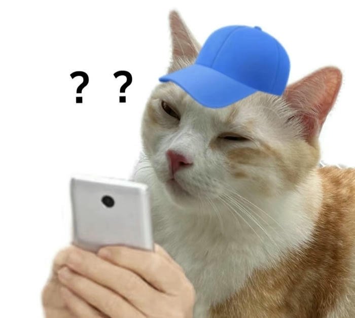 Ảnh meme mèo hỏi chấm