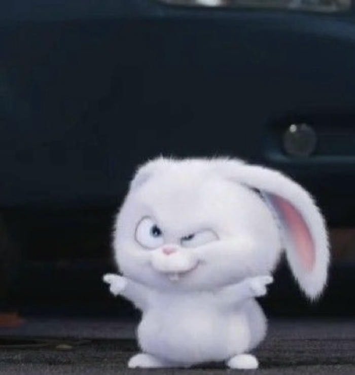Ảnh thỏ anime tươi sáng