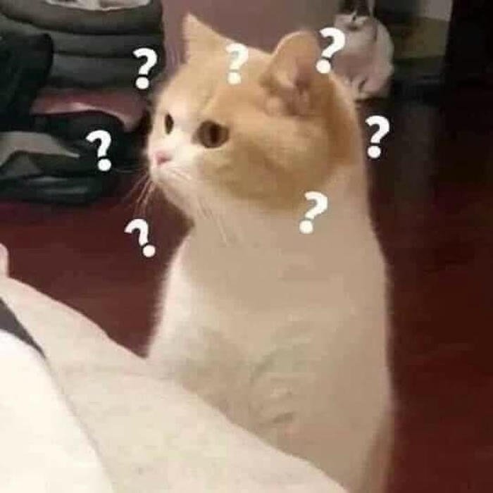 Chấm hỏi meme con mèo cute