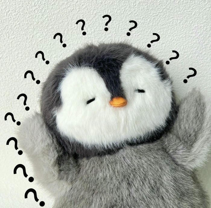 Hình ảnh meme hỏi chấm chim cánh cụt