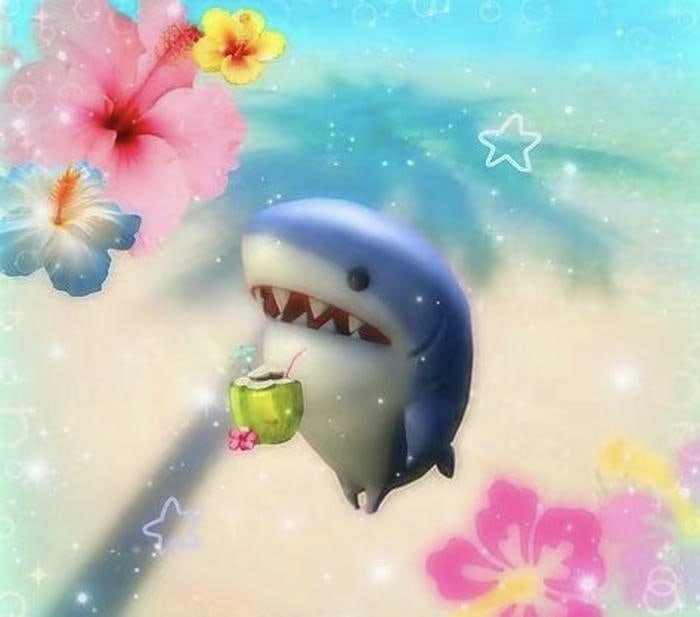 Hình cá mập anime bạn đồng hành