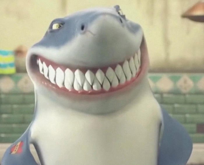 Hình cá mập anime vui tươi