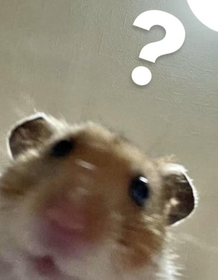 Tuyển tập meme chấm hỏi