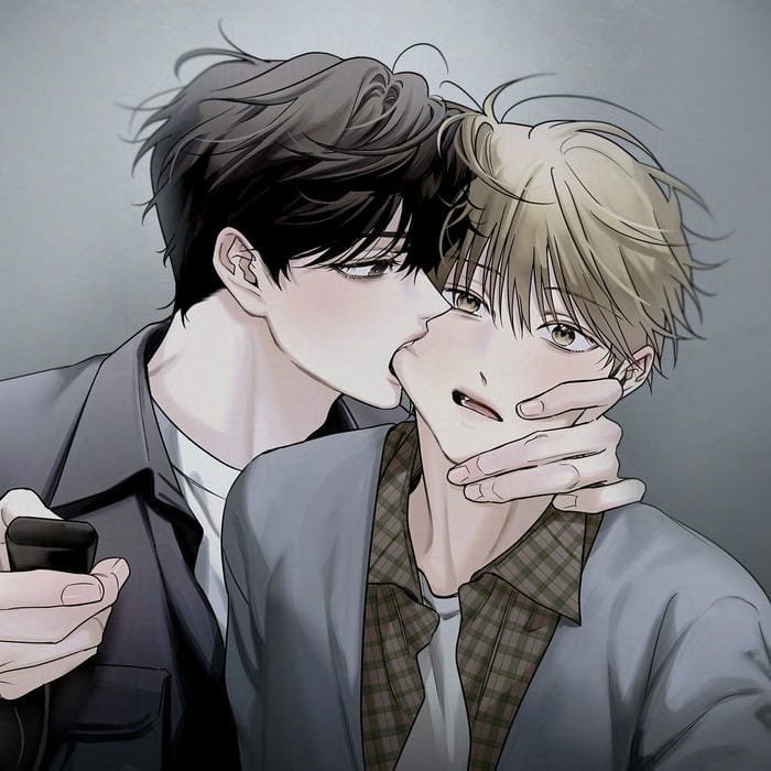 ảnh đôi nam hòa hợp