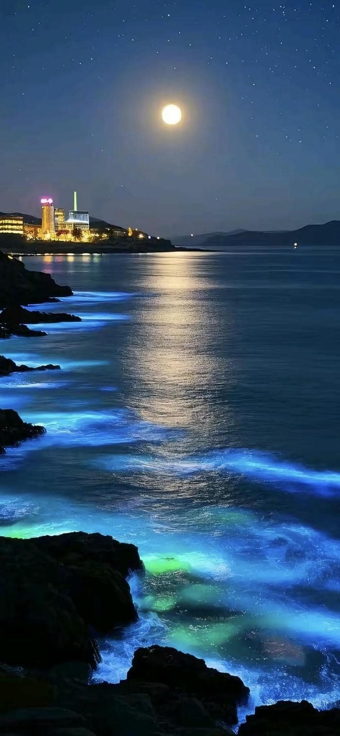 hình nền biển ban đêm