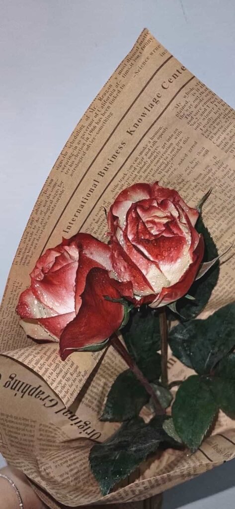 ảnh nền hoa hồng nhẹ nhàng tinh tế