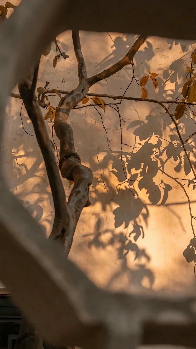 ảnh nền màu nâu pastel nền điện thoại