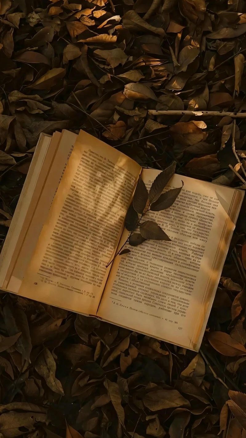 ảnh nền màu nâu pastel nền laptop