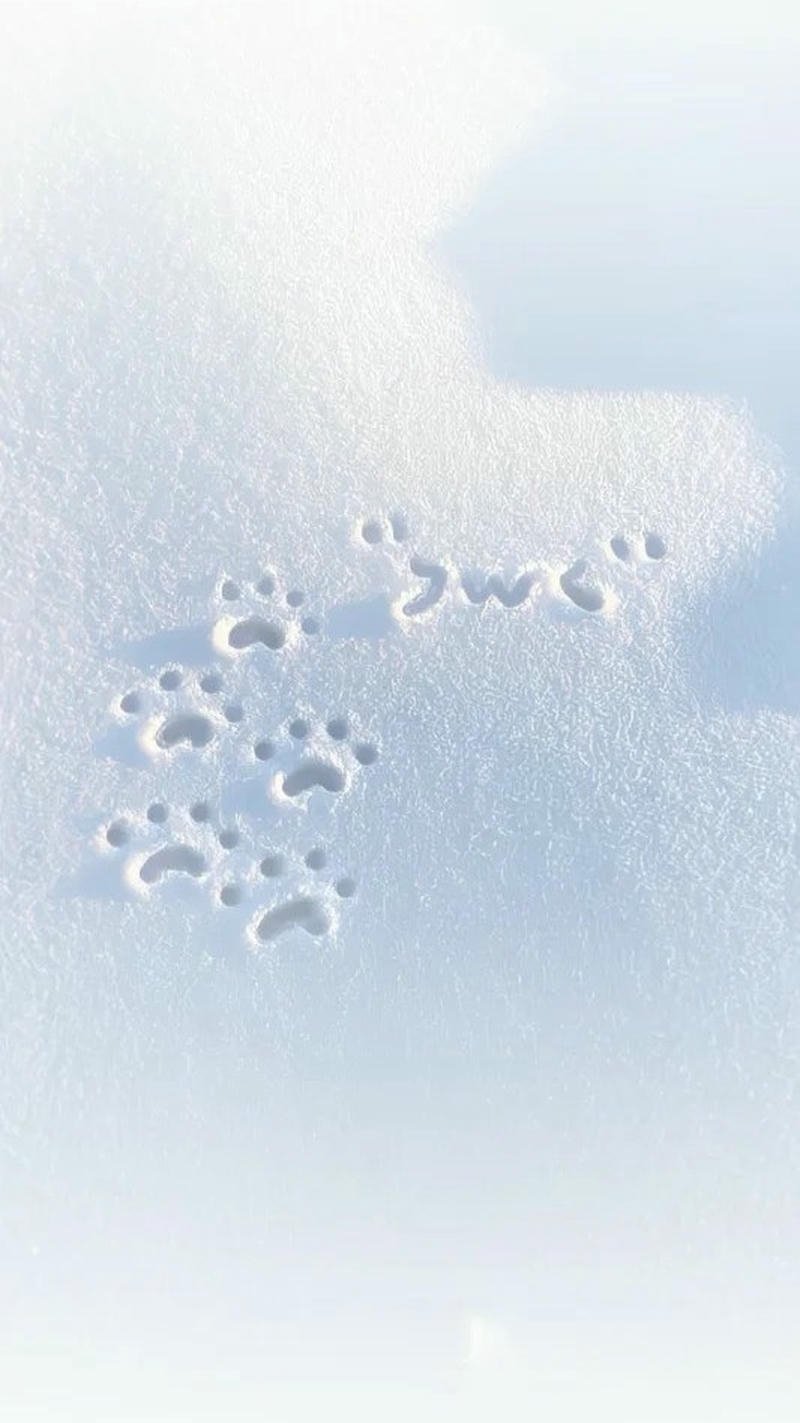 ảnh nền màu xanh pastel tự nhiên