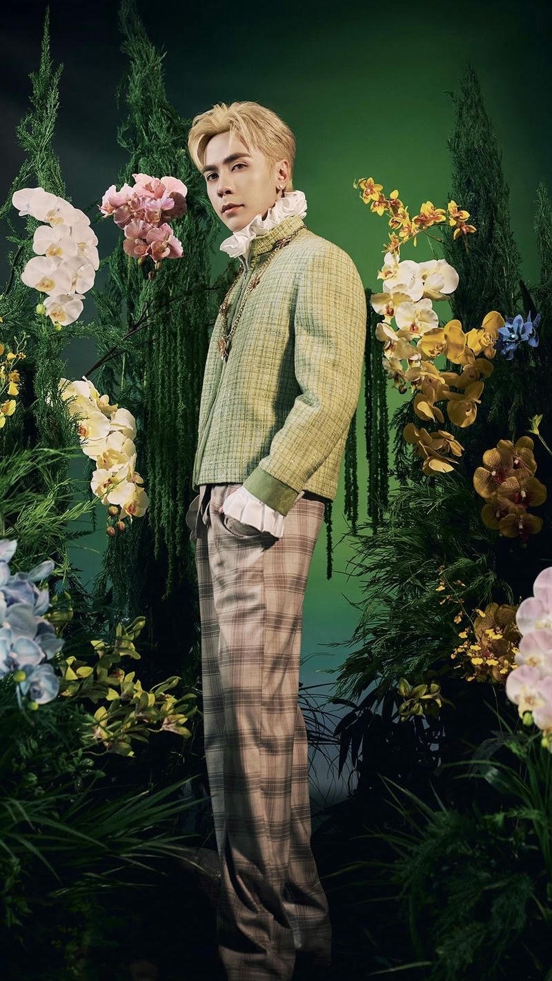 ảnh nền quang hùng masterd anh hùng