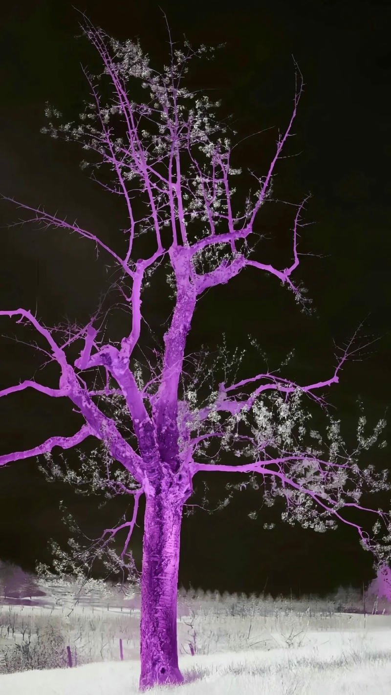 ảnh nền tím pastel vintage