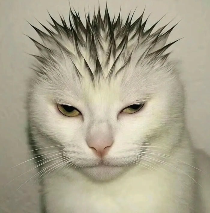 ảnh nhóm 4 người trong lớp