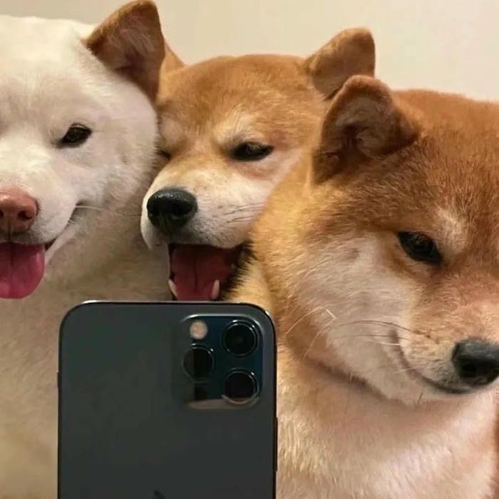 avatar nhóm 3 người ngầu