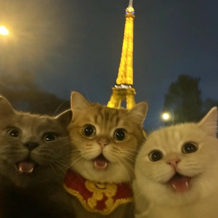 avatar nhóm bạn 3 người học sinh