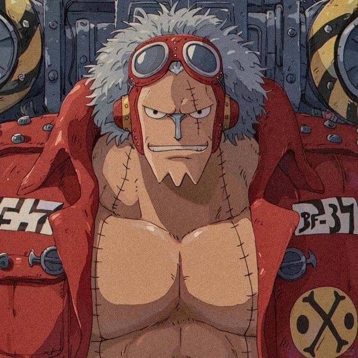 avatar one piece franky