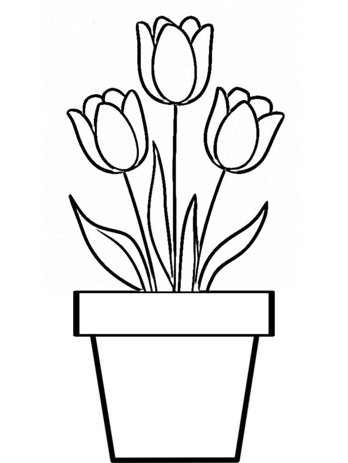 bức tranh tô màu hoa tulip