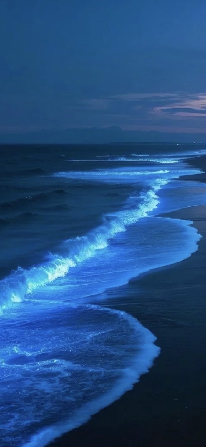 các ảnh nền biển buổi tối