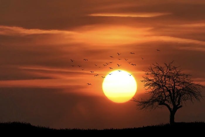 các ảnh nền hoàng hôn