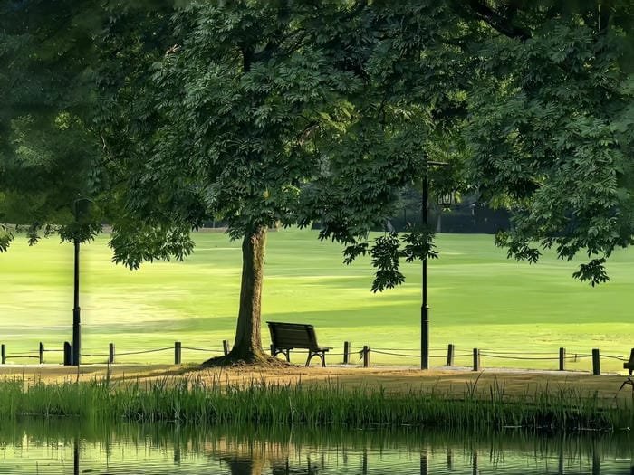 các ảnh nền yên tĩnh