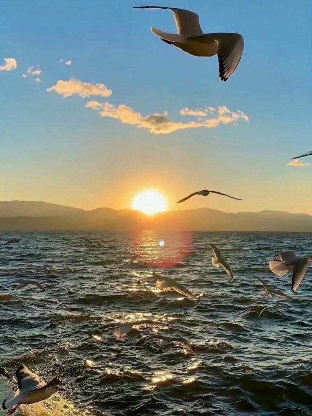 Chọn lọc 185+ tài lộc hình nền ảnh mệnh Thủy đẹp và ý nghĩa