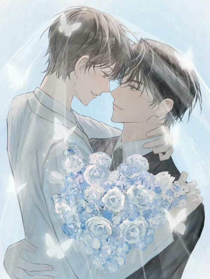 đam mỹ anime dịu nhẹ