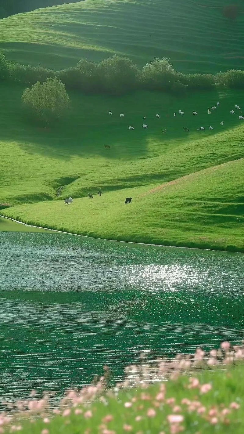 hình nền ảnh mệnh thổ đẹp